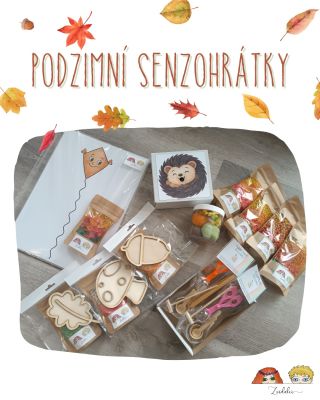 🌰 Dneska vám chci ukázat kousek podzimu u Zvídálků 🍁 Tohle všechno jsem připravila pro naše senzohrátky – než to doputuje...