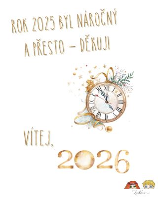 Každý na konci roku vzpomíná, bilancuje a děkuje. Já jsem to letos chtěla udělat jinak. Ale některé věci prostě nejde...